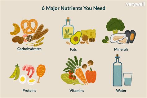 nutritional elements of food hangaroo answer|6 Essential Nutrients: What They Are and Why You Need Them .